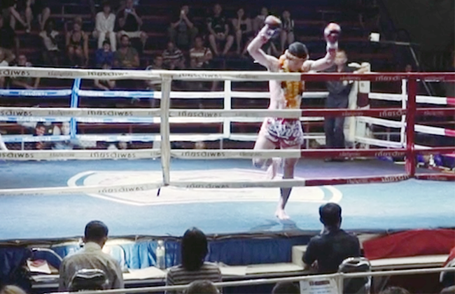 fighter