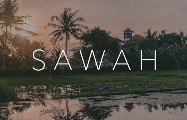 Sawah